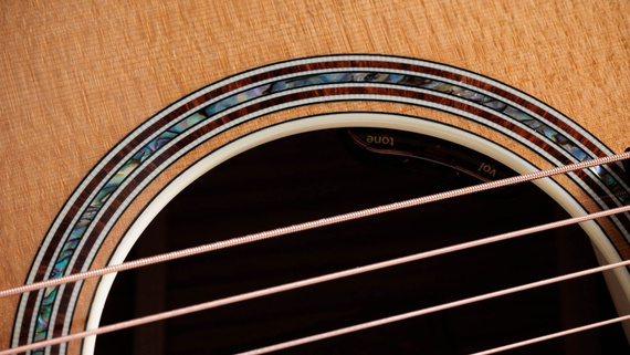 Taylor 814e Gold Label – gitara elektroakustyczna