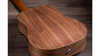 Taylor Baby Taylor BT1e Walnut - gitara elektroakustyczna