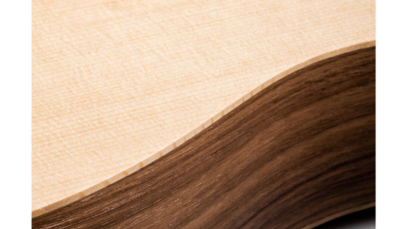 Taylor Baby Taylor BT1e Walnut - gitara elektroakustyczna