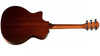 Taylor 324ce V-CLASS - gitara elektroakustyczna