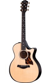 Taylor Builder's Edition 314ce LTD,Ash/Sitka,50th