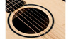 Taylor Baby Taylor BT1e Walnut - gitara elektroakustyczna